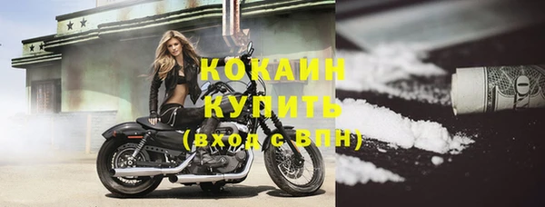 крисы Липки