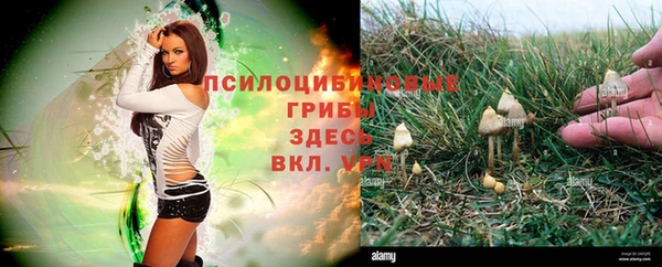 мдма Ладушкин